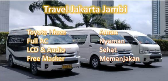 Travel Jambi Jakarta dari Marpaung: Free Masker, 100% Prokes